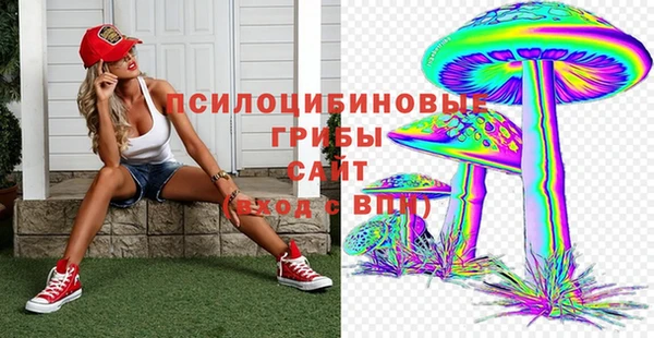 гидропоника Михайловск