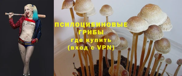 гидропоника Михайловск
