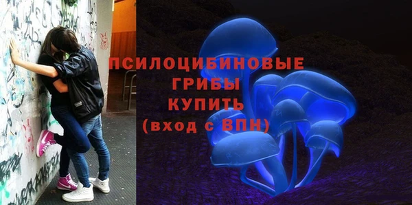 гидропоника Михайловск