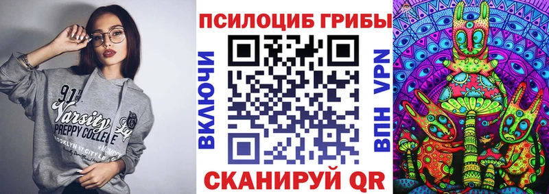 Псилоцибиновые грибы Psilocybine cubensis Купить закладки Павловск